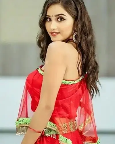 Escort In Palam Vihar